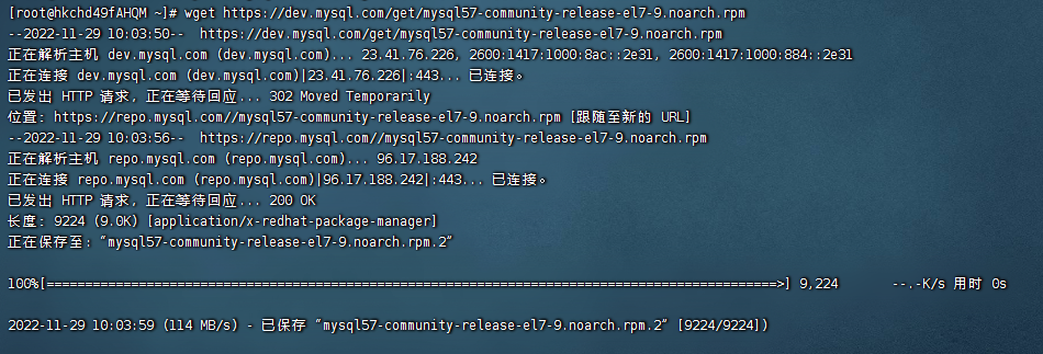 image-20221129180823309